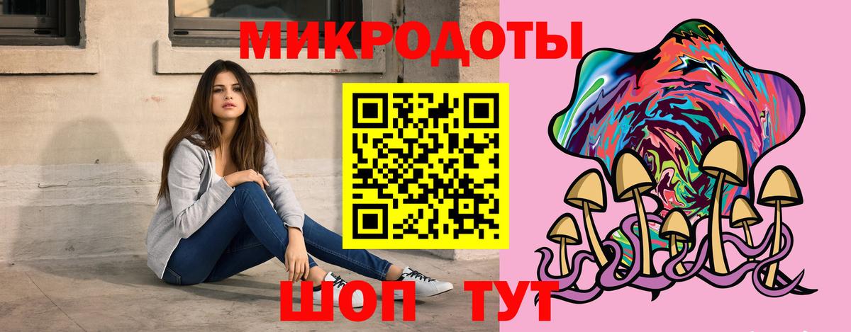 Галлюциногенные грибы Psilocybine cubensis  Вход с VPN  Каменка 